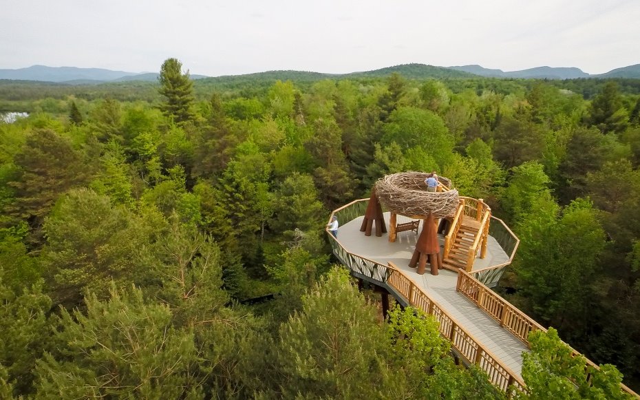 First walkways above trees soon to be set up in Georgia geotv.ge